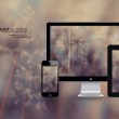 word2010是哪个公司的产品?